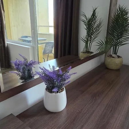 דירה нарцис סנט קונסטנטין והלנה